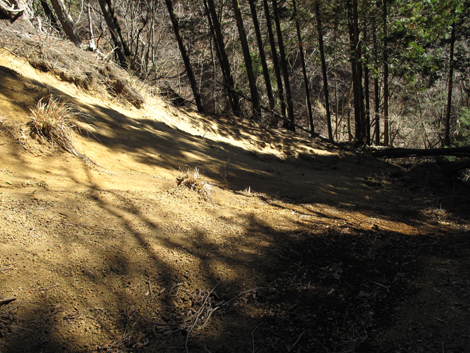 20190121hike (119)